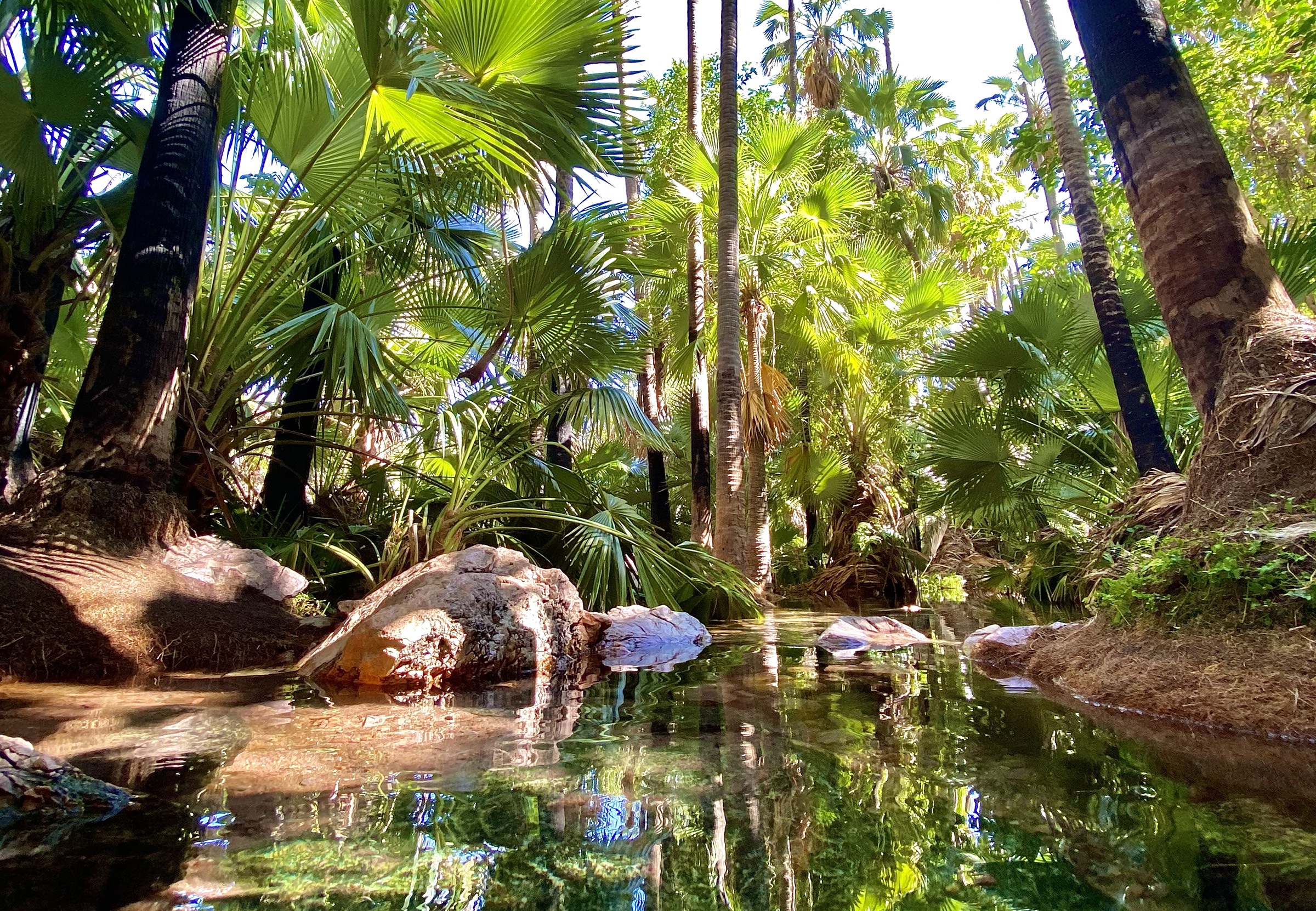 2 An outback oasis