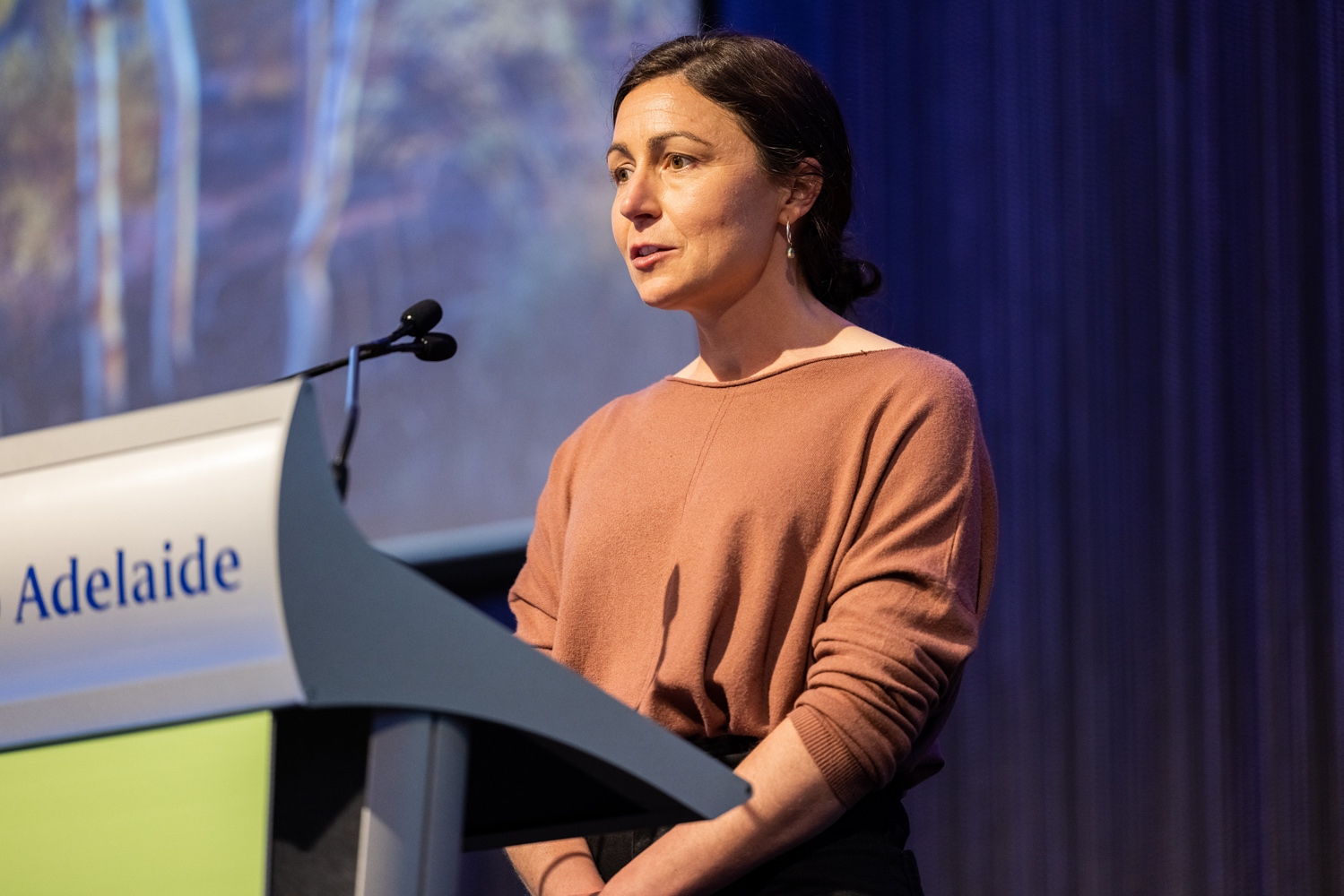 55 39th CRAN Aplus Conference Katie Pennington