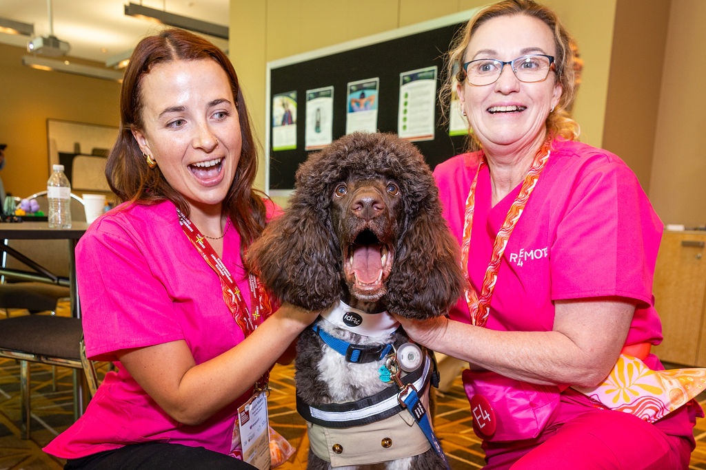 CRAN Aplus MLB 2024 597