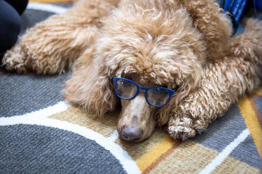 CRAN Aplus MLB 2024 642