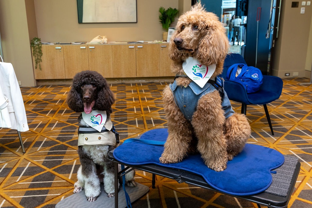 CRAN Aplus MLB 2024 649