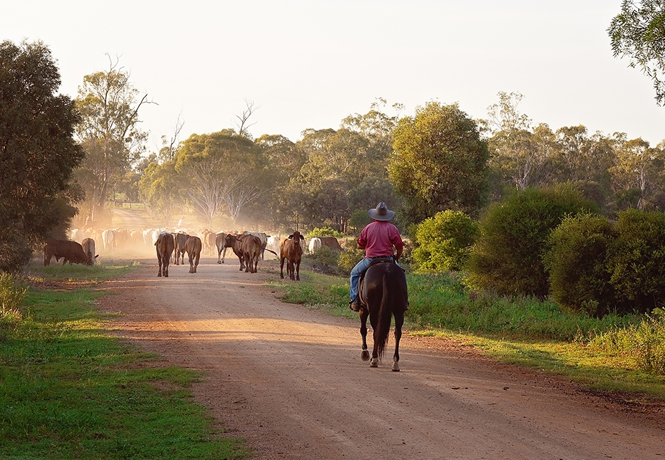 Healthy Male 964x667 Landscape