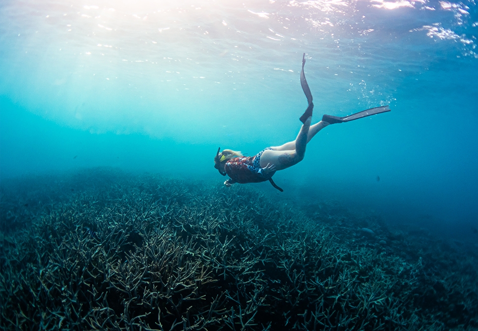 Laura Coldwell1 Landscape