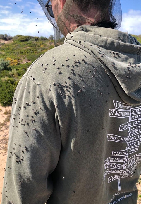 Packinglist Insect Protection