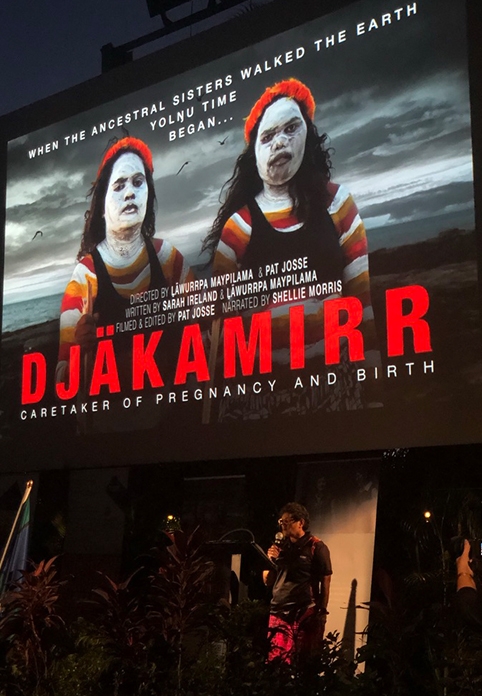 Screening of the Djakamirr documentary 482x696 Portrait