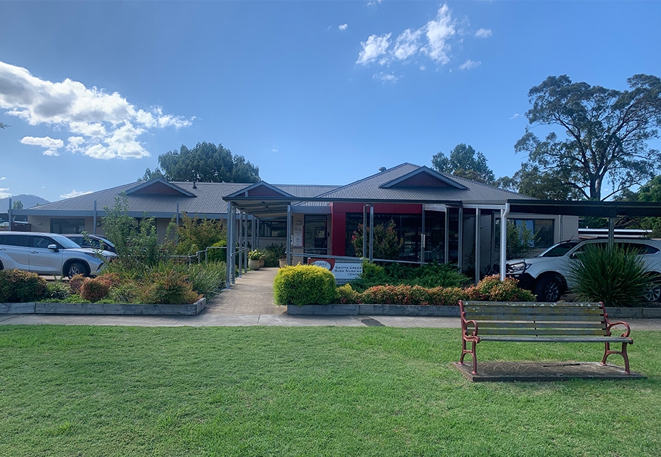 Sue2 964x667 Landscape