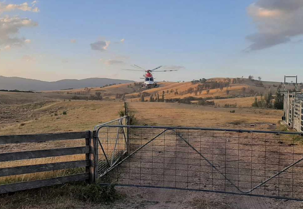 Sue3 964x667 Landscape