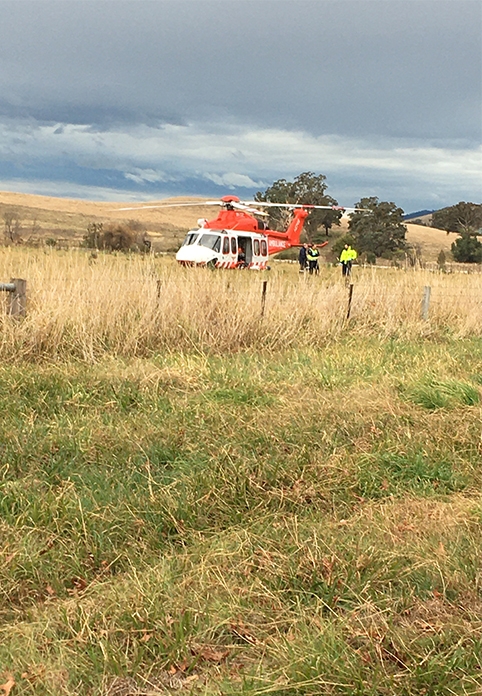 Sue5 482x696 Portrait