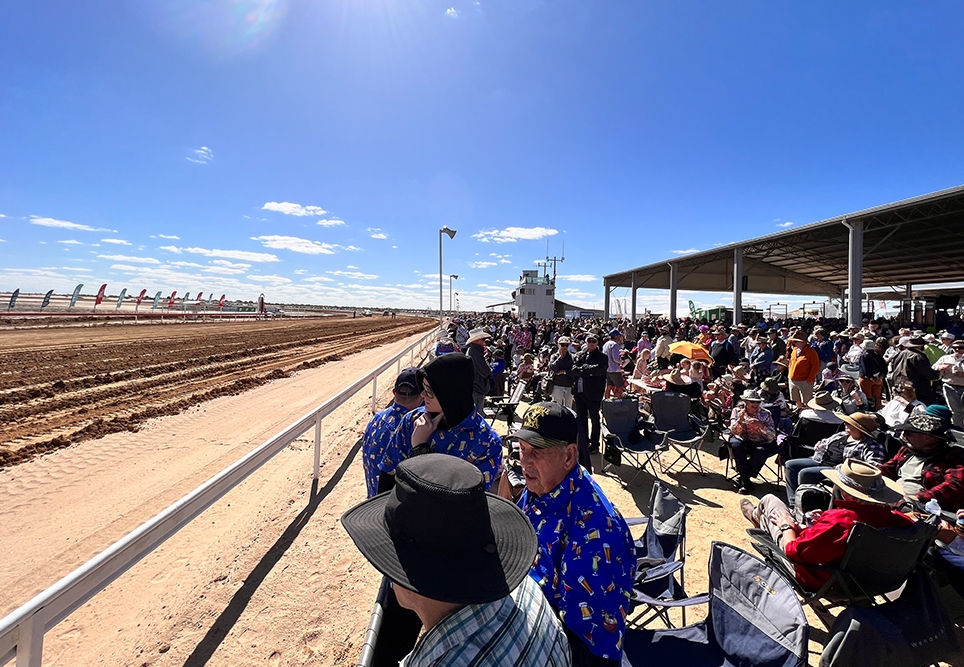 Susan1 964x667 Landscape