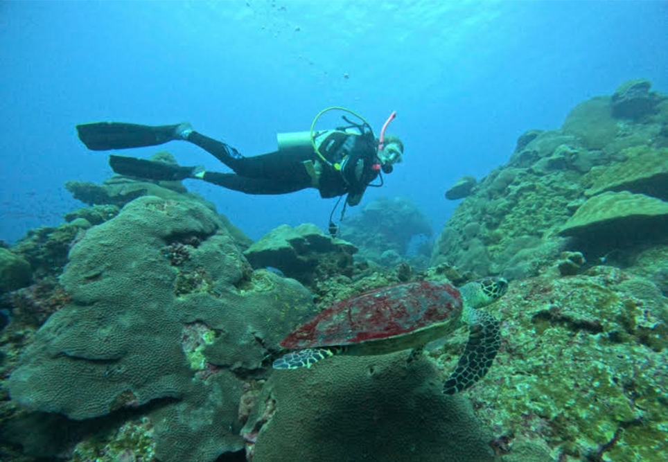 Vicki2 964x667 Landscape