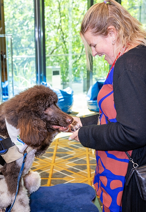 Wellbeing dog 482x696 Portrait