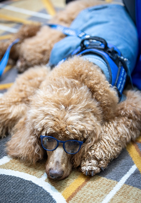 Wellbeing2 482x696 Portrait